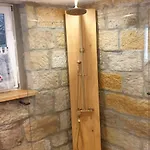 Protze הונשטיין